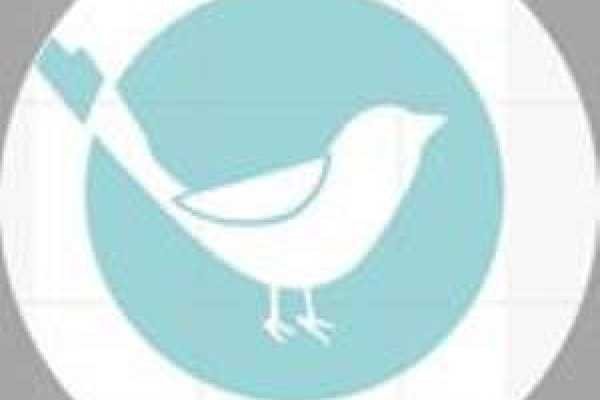 Little Bird Cafe Logo