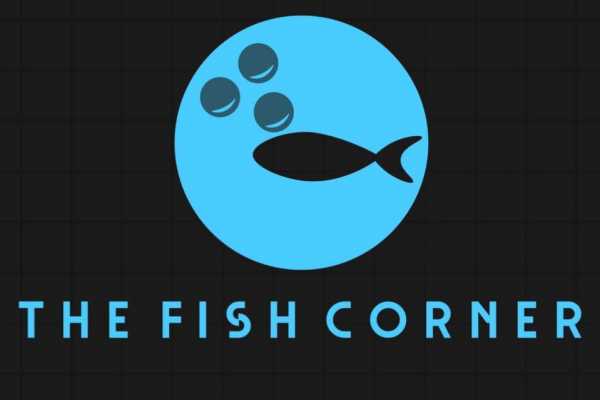 The Fish Corner