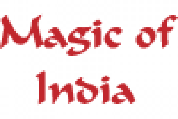 Magic of India Logo