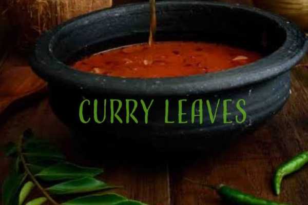 Curry Leaves - South Indian Restaurant
