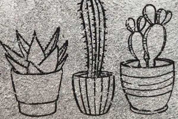 The Prickly Cactus