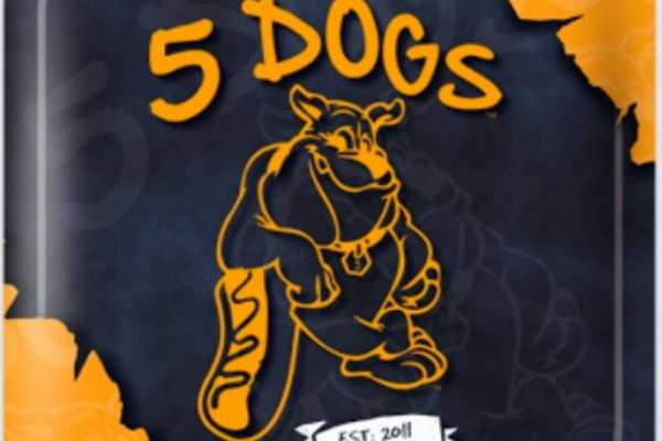 5 Dogs Loganlea