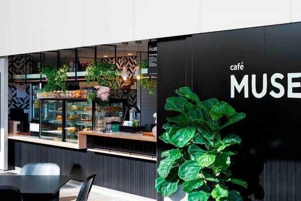 Cafe Muse