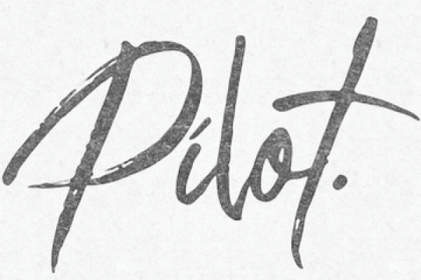 Pilot. Logo