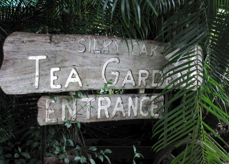 Silky Oak Tea Gardens