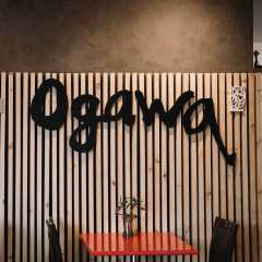Ogawa Logo