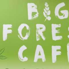Big forest cafe