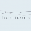 Harrisons by Spencer Patrick