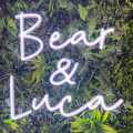 The Bear & Luca cafe