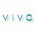 Vivo Cafe Palm Cove Logo